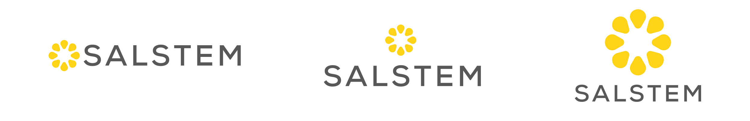 Salstem Mühendislik Logo ve Kurumsal Kimlik Tasarımı | Ruberu Reklam Ajansı