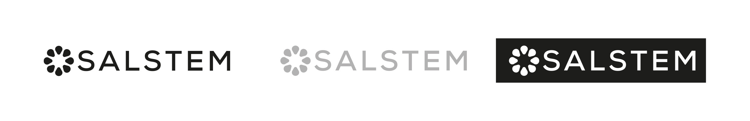 Salstem Mühendislik Logo ve Kurumsal Kimlik Tasarımı | Ruberu Reklam Ajansı
